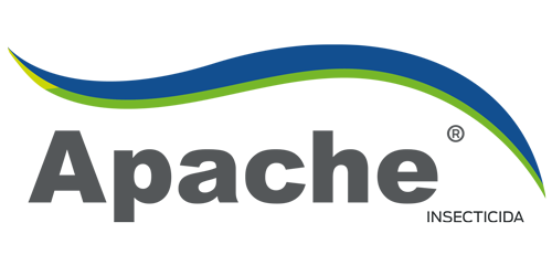 APACHE 