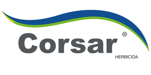 CORSAR