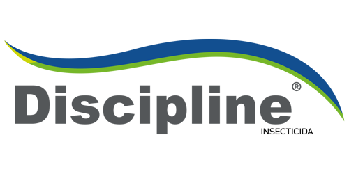 DISCIPLINE