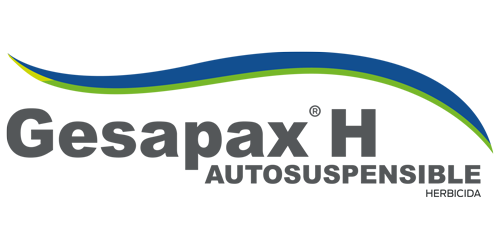 GESAPAX H AUTOSUSPENSIBLE